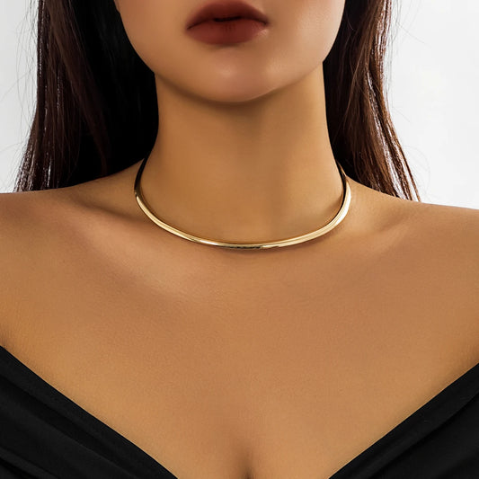 Chunky Circle Torques Necklace
